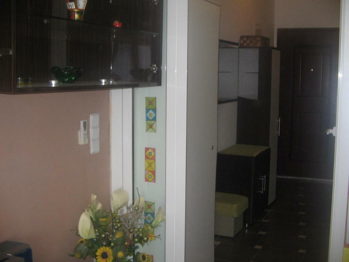 Apartman Karla Apartment ซริกเวนิซา ภายนอก รูปภาพ